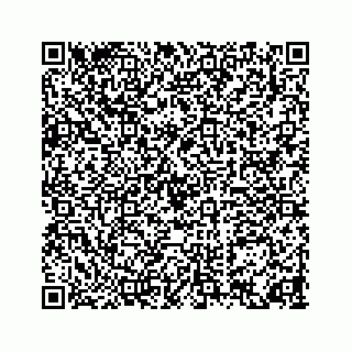 vCard 74217200319