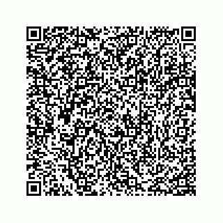 vCard 74217200379