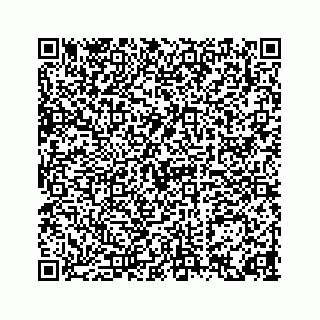 vCard 74217200381