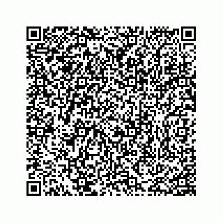 vCard 74217200382
