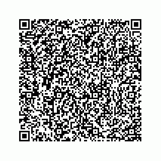 vCard 74217200387