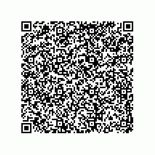 vCard 74217201313