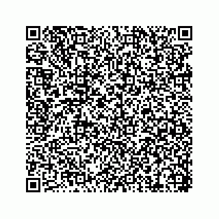 vCard 74217240029