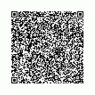 vCard 74217250029