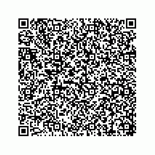 vCard 74217300197