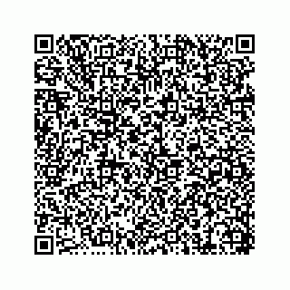 vCard 74217300217
