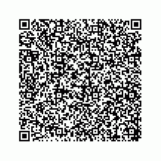 vCard 74217529029