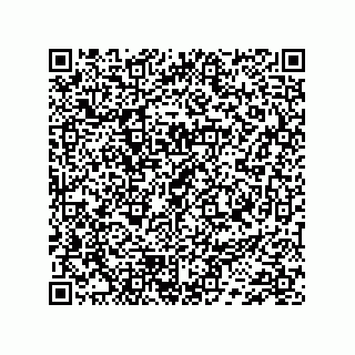 vCard 74733271503