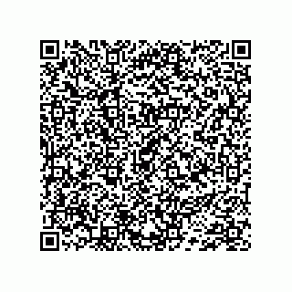 vCard 74733271738