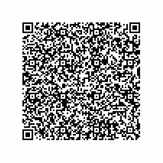 vCard 74822200331