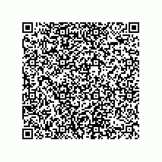 vCard 74822200377