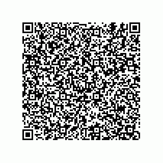 vCard 74822222002