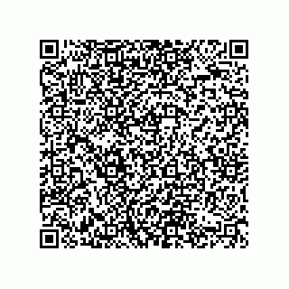 vCard 74822319033