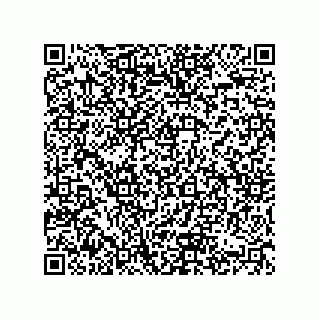 vCard 74822319258