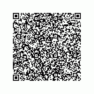 vCard 74822319313