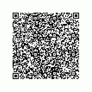 vCard 74822319384