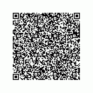 vCard 74822320009