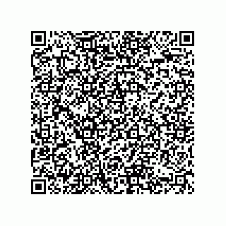 vCard 74822320011