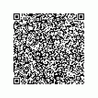 vCard 74822320331