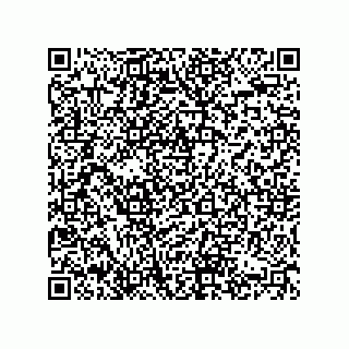 vCard 74822410297