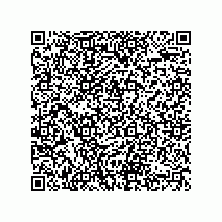 vCard 74822410311