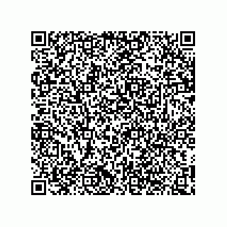 vCard 74822410319