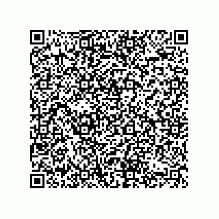 vCard 74822410379