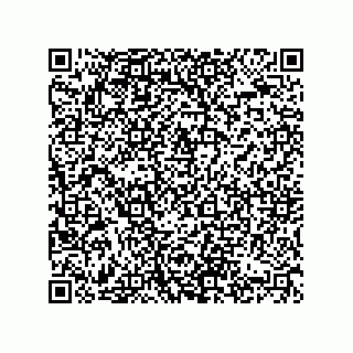 vCard 74822410384
