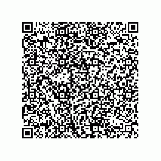 vCard 74822413080