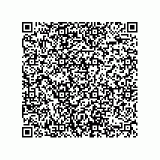 vCard 74822413219