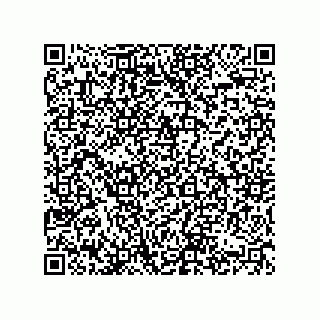 vCard 74822413299