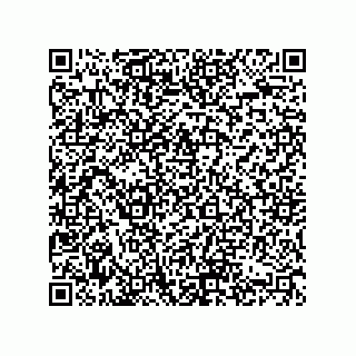 vCard 74822413311