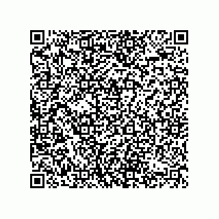 vCard 74822413377