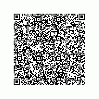 vCard 74822413381