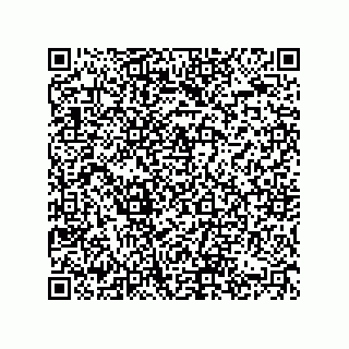 vCard 74822413383