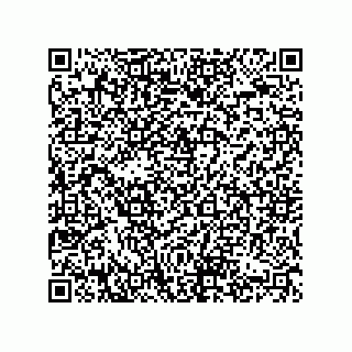 vCard 74822413388