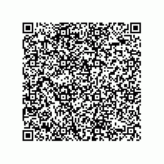 vCard 74822417381