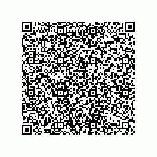 vCard 74822419281