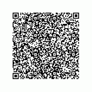 vCard 74822419313