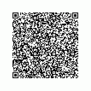 vCard 74822419379