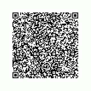 vCard 74822420039