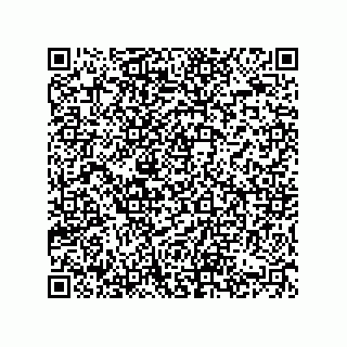 vCard 74822420288