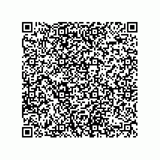 vCard 74822420379