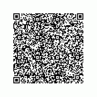 vCard 74822479991