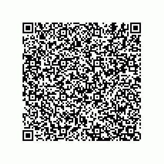 vCard 74822483328