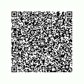 vCard 74822493239