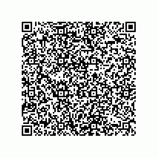 vCard 74822493381