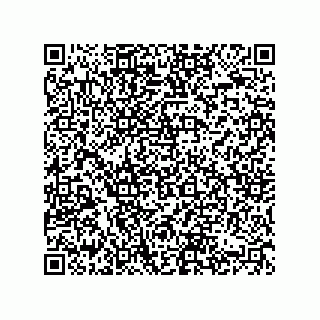vCard 74822509381