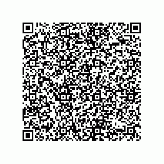 vCard 74822690380