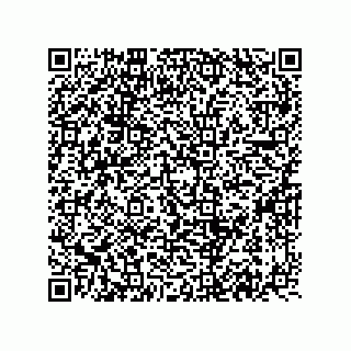 vCard 74822710249